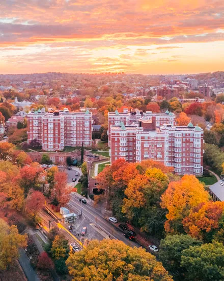 LONGWOOD TOWERS DURING FOLIAGE - Vertical