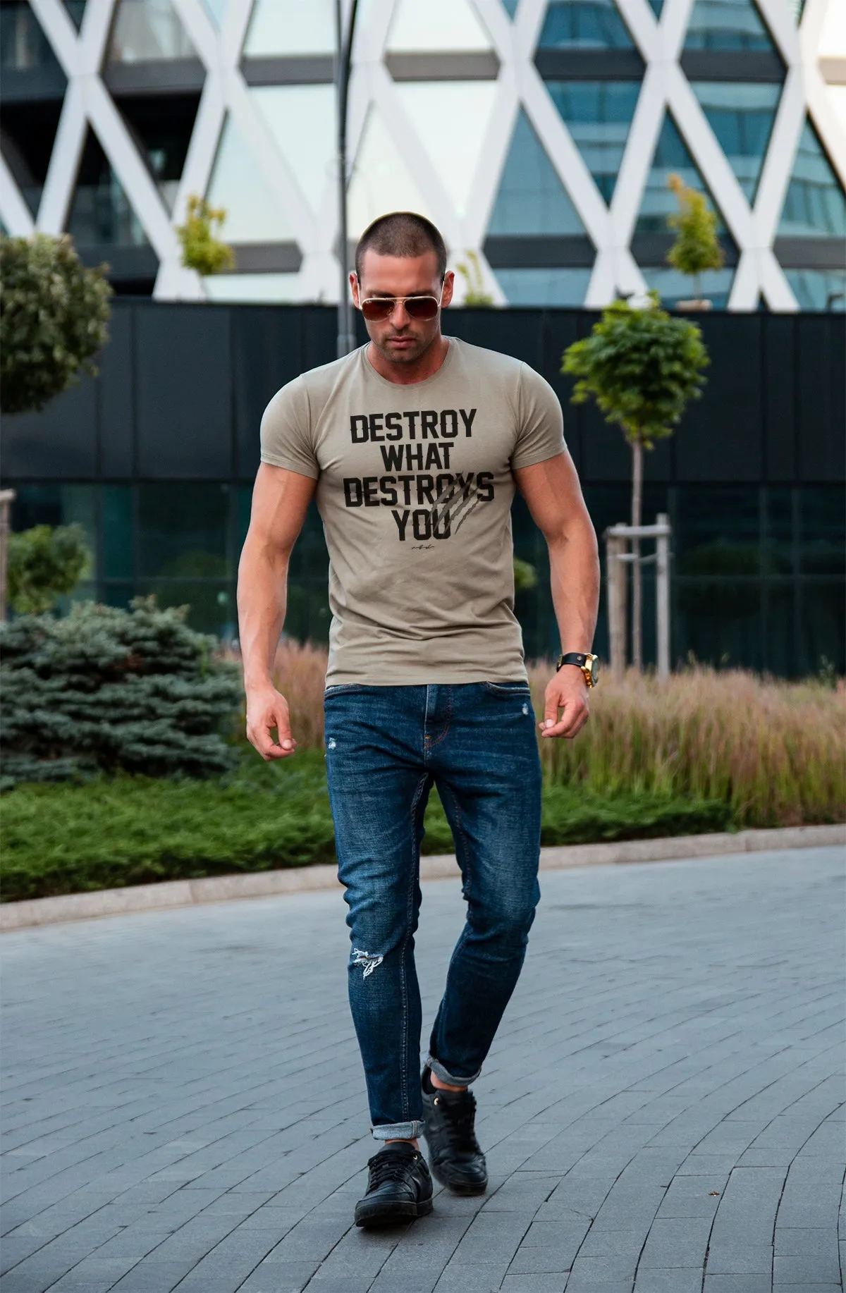 Men's T-shirt "Destroy What Destroys You" MD980