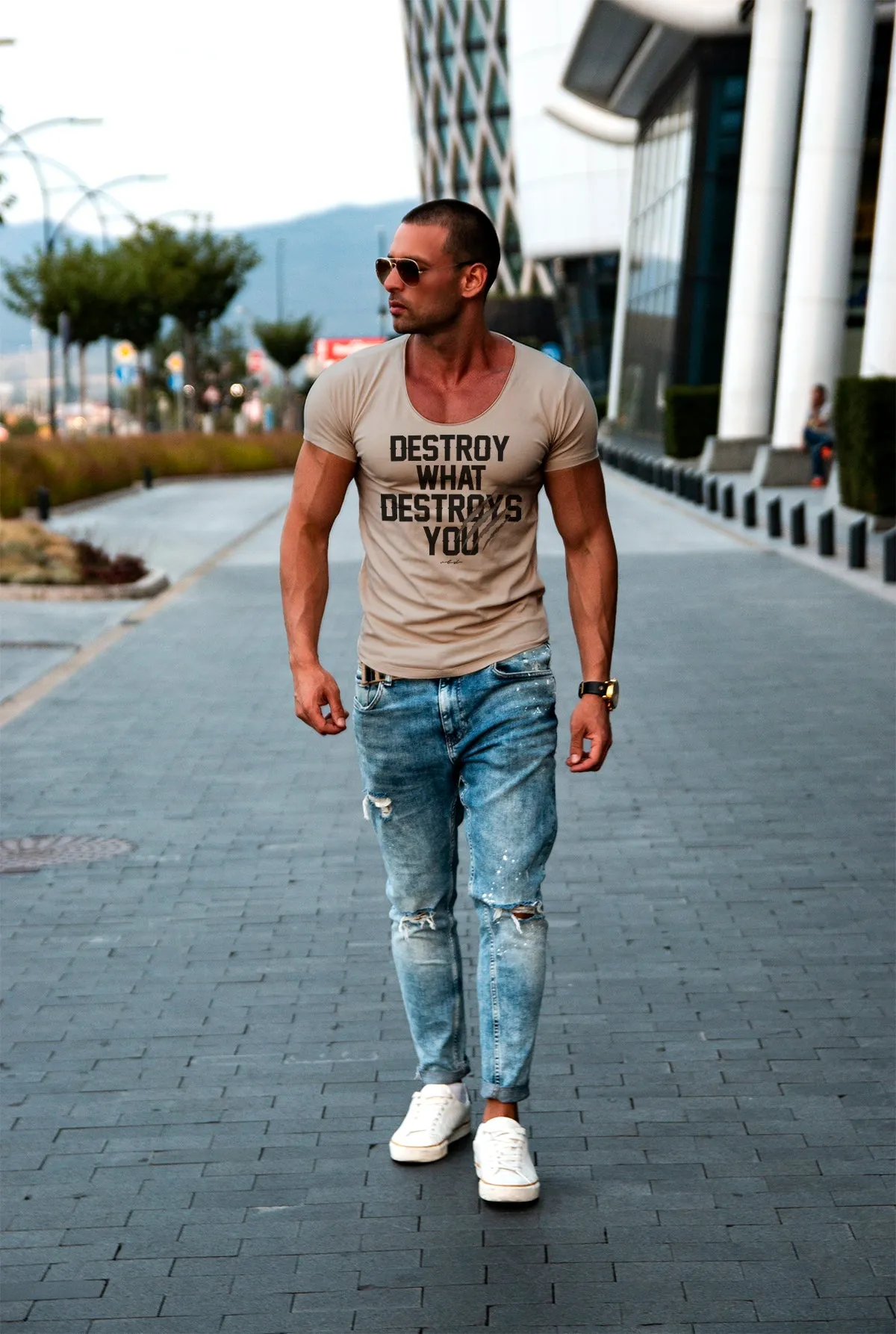 Men's T-shirt "Destroy What Destroys You" MD980