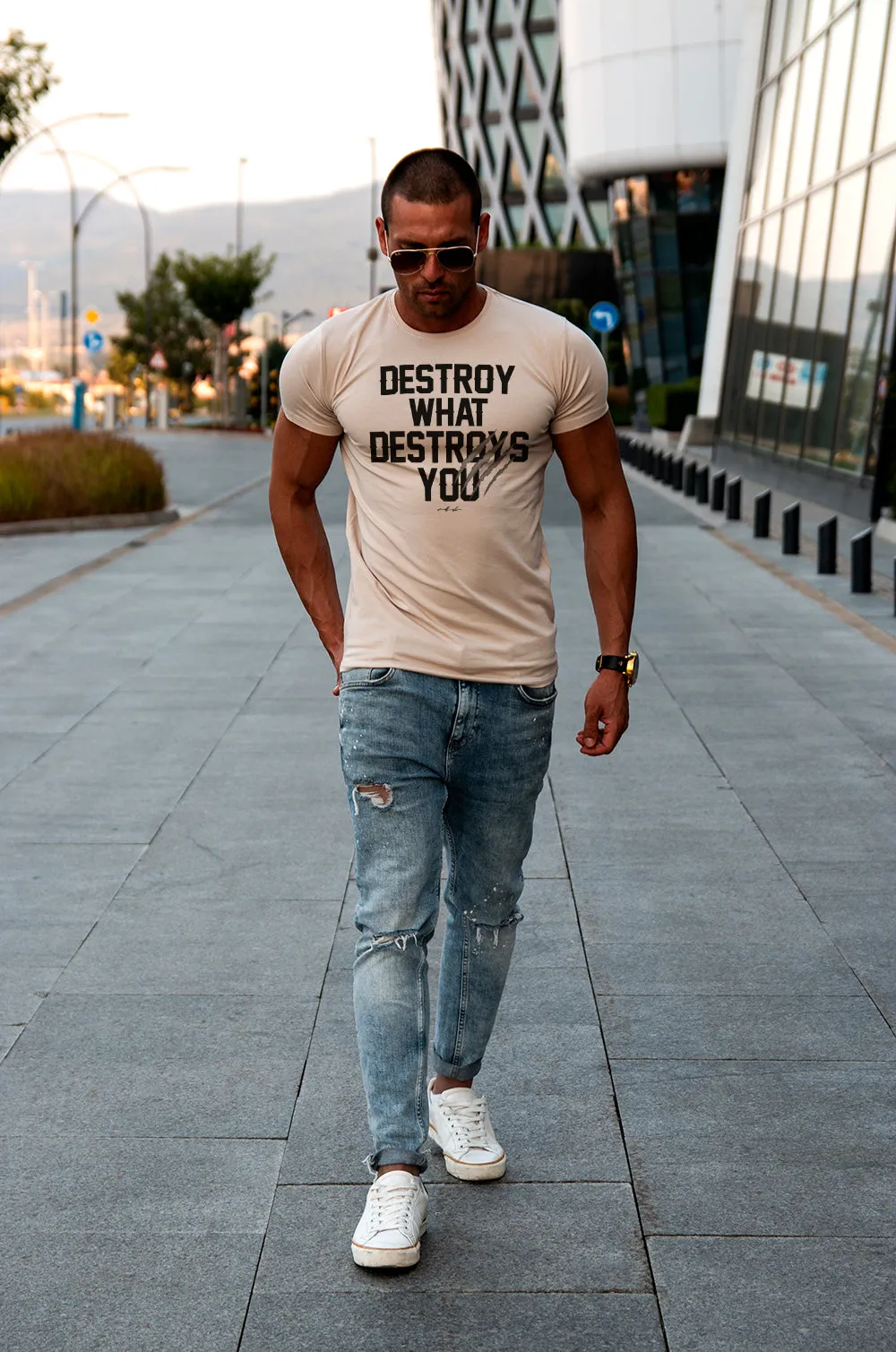 Men's T-shirt "Destroy What Destroys You" MD980