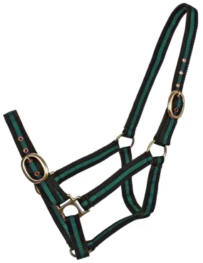 Nylon Halter striped WEB HALTERS