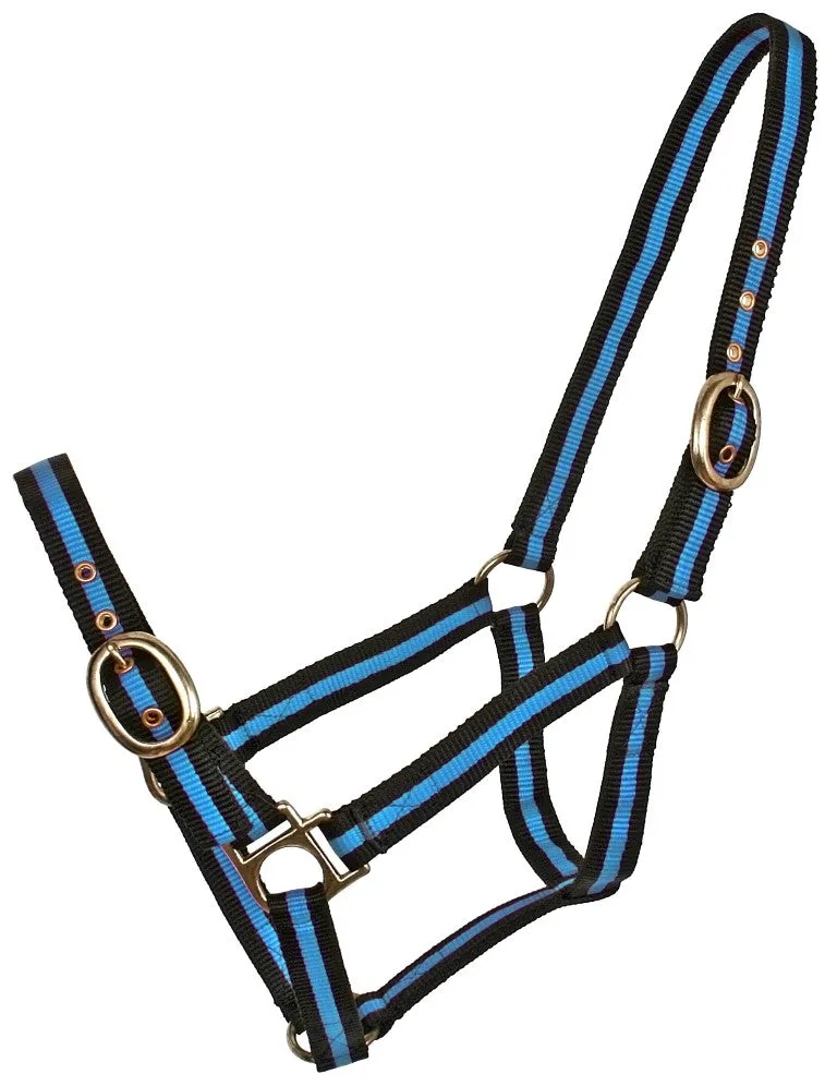 Nylon Halter striped WEB HALTERS